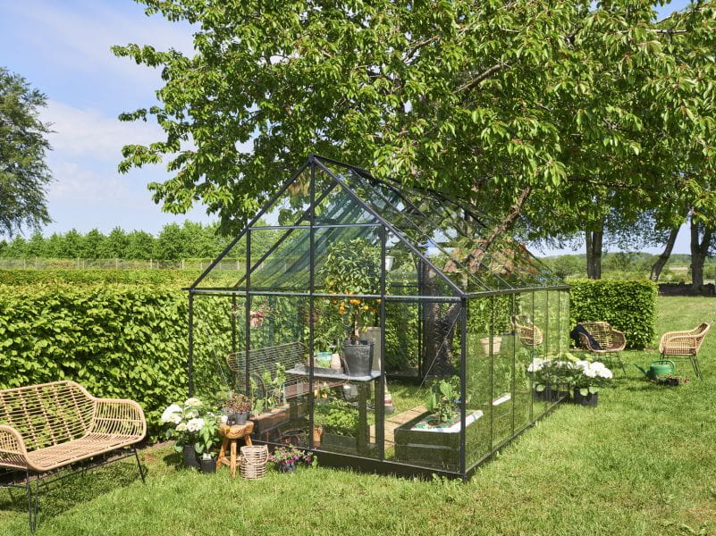 Halls Gewächshaus Qube+ 812 Schwarz Sicherheitsglas