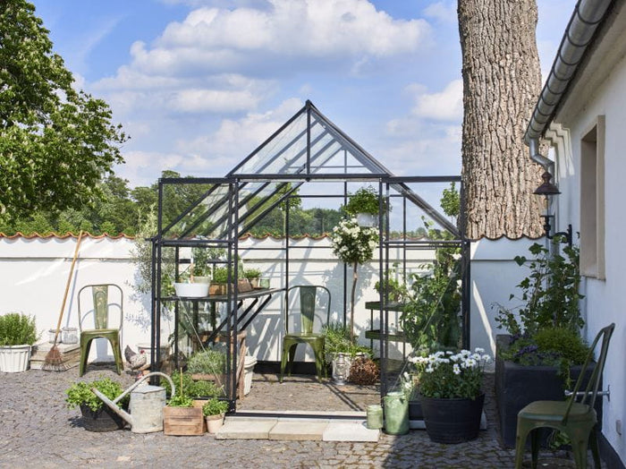 Halls Gewächshaus Qube+ 88 Schwarz Sicherheitsglas