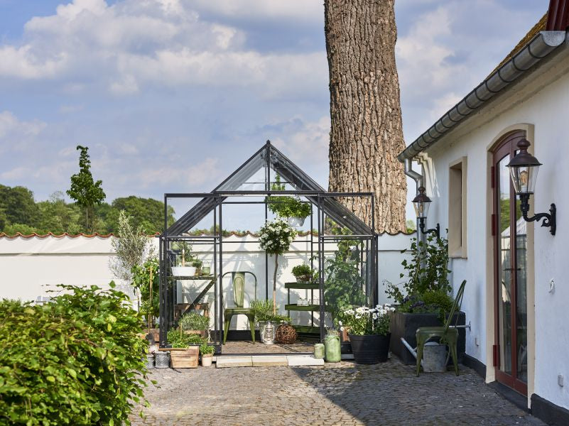 Halls Gewächshaus Qube+ 88 Schwarz Sicherheitsglas