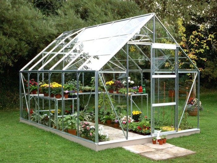 Halls Gewächshaus Universal 128 Alu Blankglas 9,9m² - SPARSET inkl. Fundament Alu