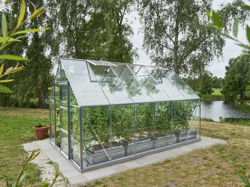 Halls Gewächshaus Universal 128 Alu Blankglas