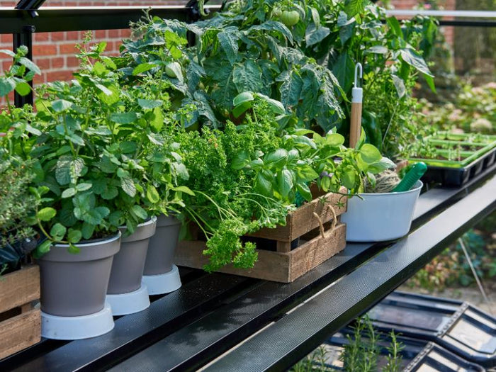 Halls Lamellen-Tisch - Qube 68 - schwarz - 4 Sektionen