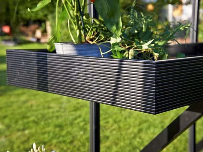 Juliana Alutisch integriert schwarz, 2 Sektionen