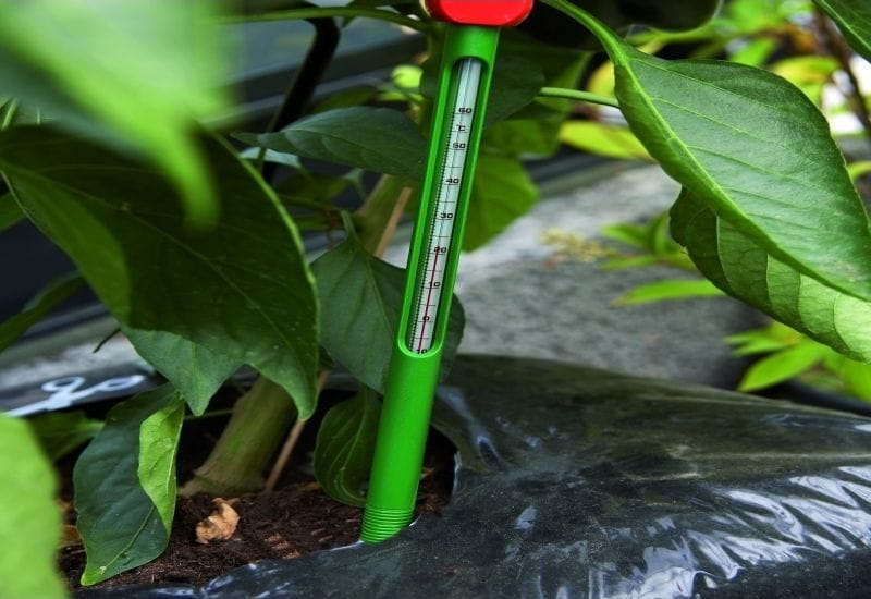 Juliana Erdbodenthermometer