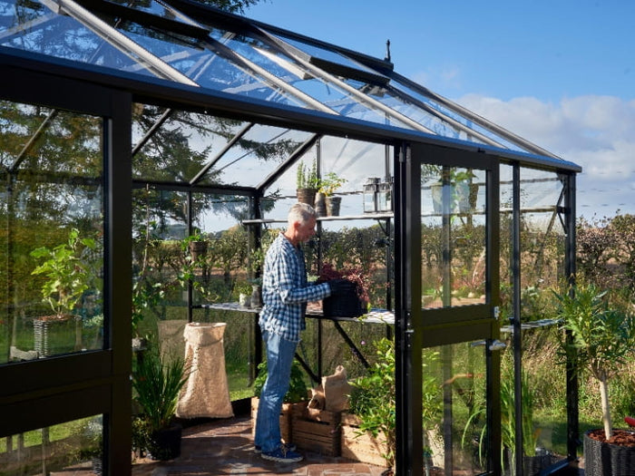 Juliana Gewächshaus Jubii 60 Schwarz 15,1 m² mit 3 mm Sicherheitsglas
