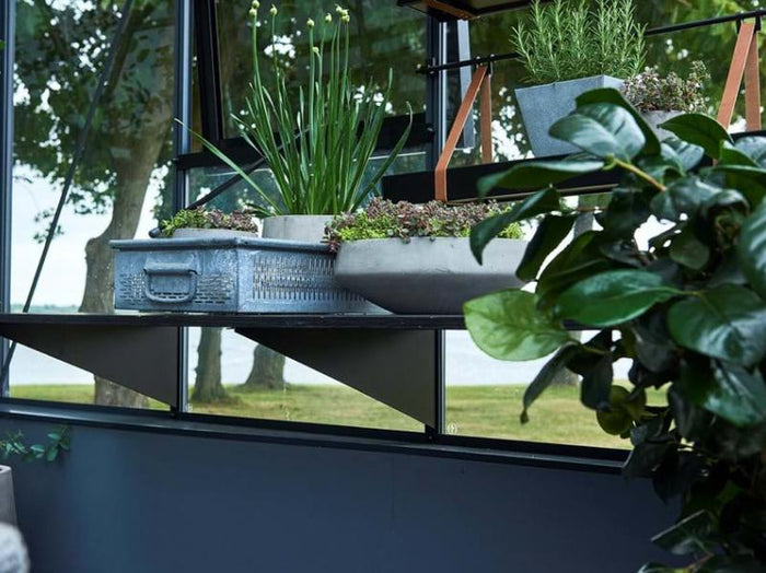 Juliana Regalhalter,  Stück