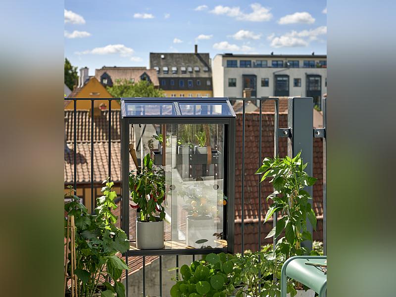 Juliana Urban Gewächshaus Balcony schwarz