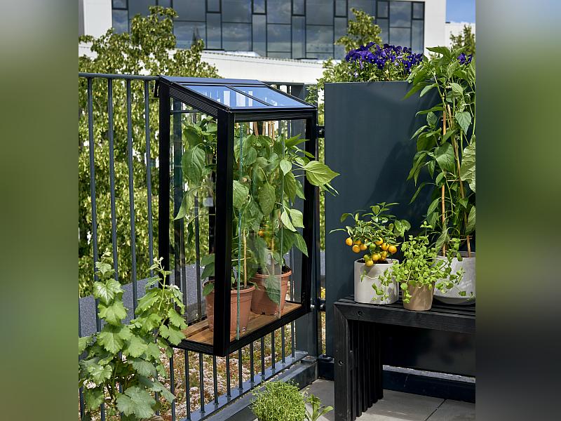 Juliana Urban Gewächshaus Balcony schwarz