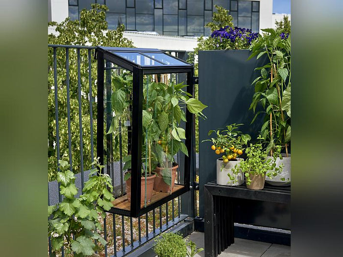 Juliana Urban Gewächshaus Balcony schwarz