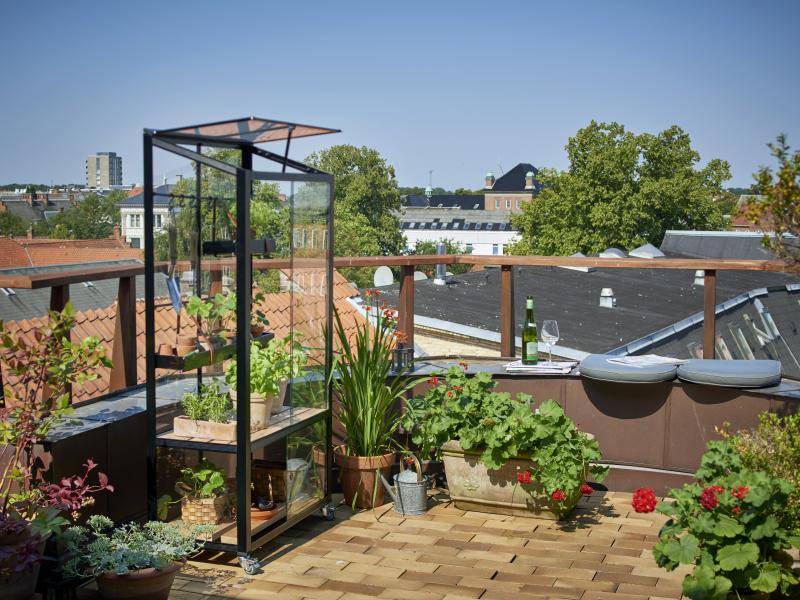 Juliana Urban Gewächshaus City Greenhouse, 4mm Sicherheitsglas