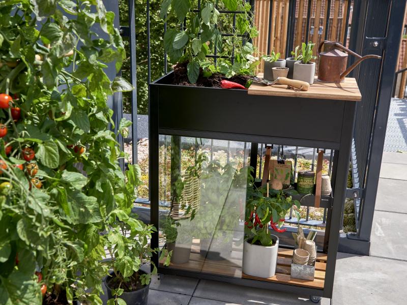 Juliana Urban Gewächshaus Vertical schwarz, 4mm Sicherheitsglas