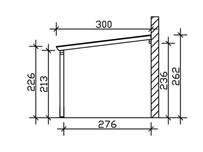 Skan Holz Anlehncarport Vogtland naturbelassen