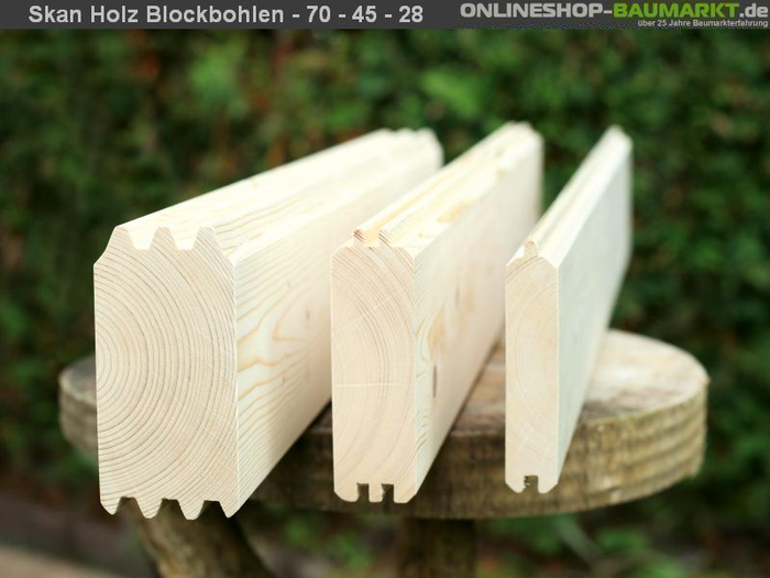 Skan Holz Blockbohlenhaus Bern 2 45plus, 560 x 420 cm