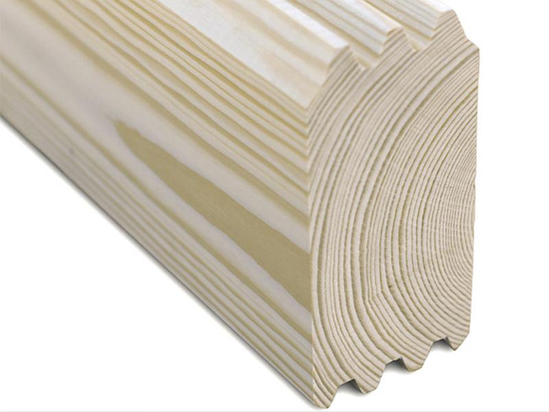 Skan Holz Blockbohlenhaus Ontario 70plus, 600 x 500 cm