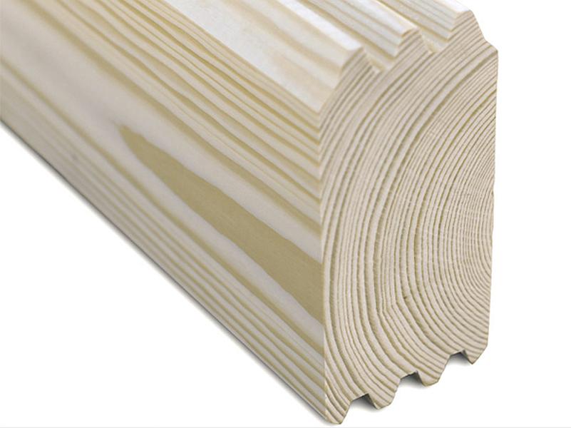 Skan Holz Blockbohlenhaus Ontario, Dach dämmbar für Dachziegel, 70plus, 600 x 500 cm