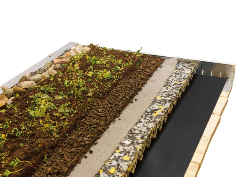 Skan Holz Dachbegrünung für Carport Friesland und Spreewald