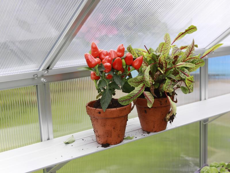 Vitavia Aluminium-Wandregal blank eloxiert