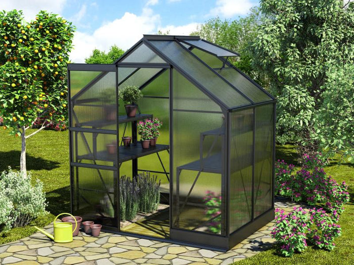 Vitavia Gewächshaus Apollo 2500 HKP 6 mm Schwarz