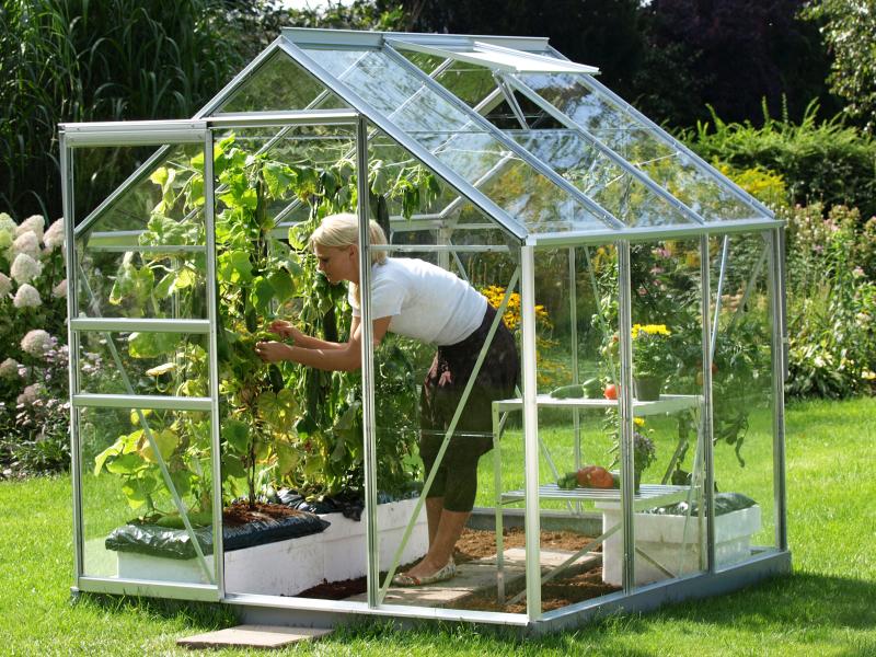 Vitavia Gewächshaus Venus 3800 ESG 3 mm Alu