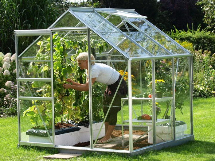 Vitavia Gewächshaus Venus 3800 ESG 3 mm Alu