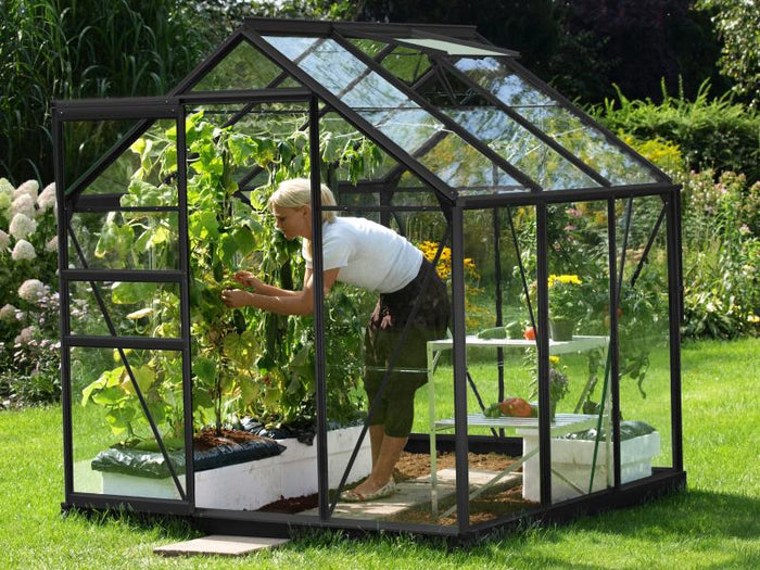 Vitavia Gewächshaus Venus 3800 ESG 3 mm Schwarz