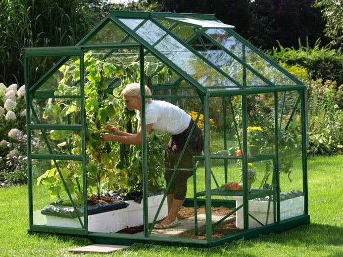 Vitavia Gewächshaus Venus 3800 ESG 3 mm Smaragd