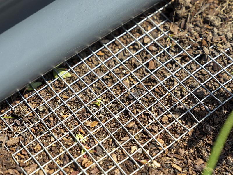 Vitavia Mäusegitter Draneo