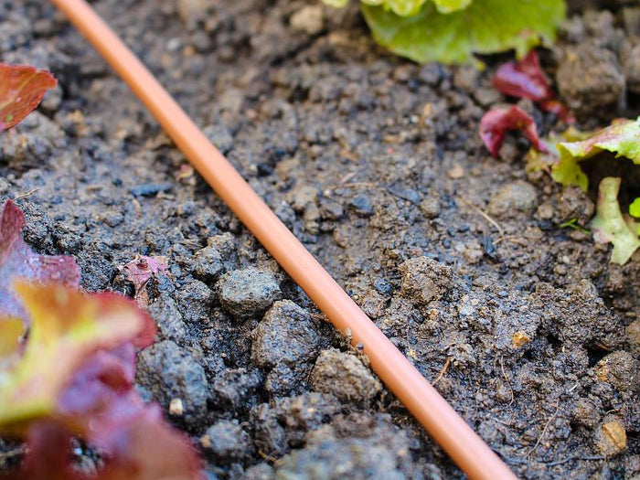 Vitavia Tropfschlauch DP30