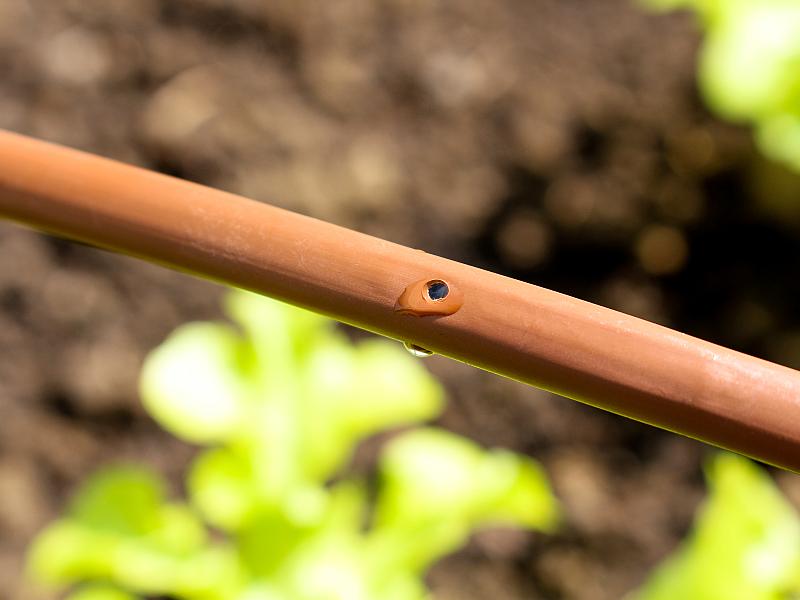 Vitavia Tropfschlauch DP30