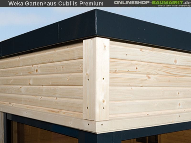 Weka Gartenhaus wekaLine 412 Größe 1 45 mm Premium