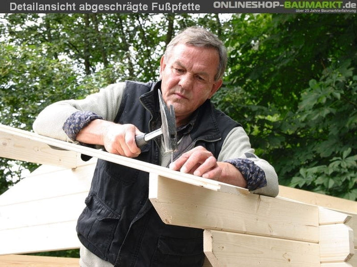 Wolff Finnhaus Gartenhaus Hammerfest 70-A