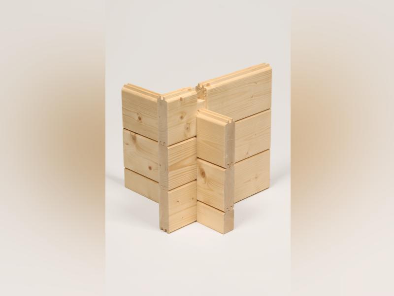 Wolff Finnhaus Gartenhaus Lisa 44-B XL