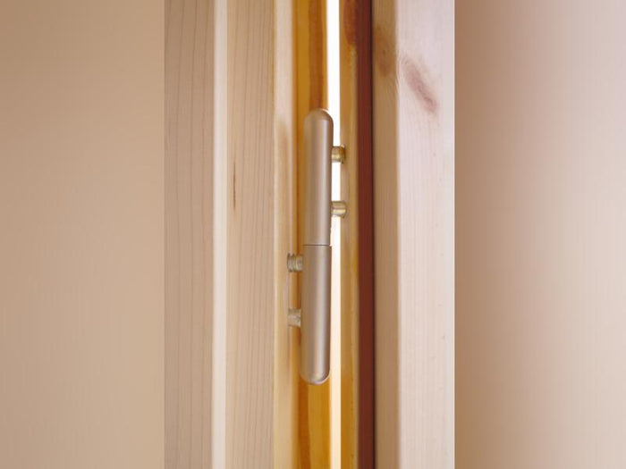 Wolff Finnhaus Gartenhaus Lisa 44-B