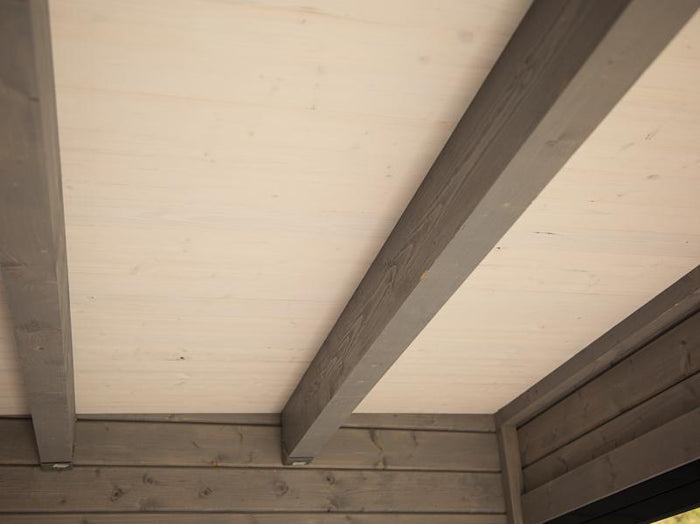 Wolff Finnhaus Pultdachhaus Studio 44-B, anthrazit