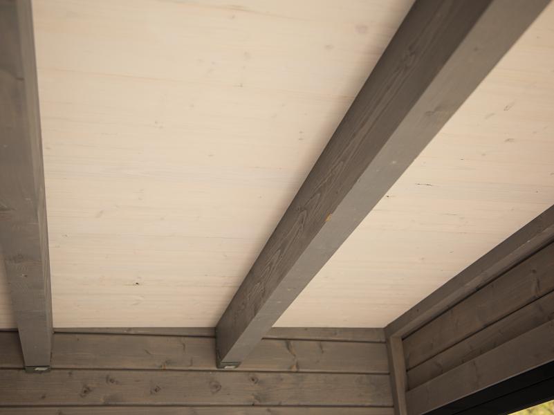 Wolff Finnhaus Pultdachhaus Studio 44-D mit Seitendach, natur