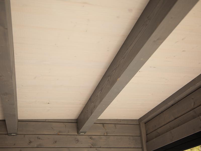 Wolff Finnhaus Pultdachhaus Studio 44-D naturbelassen