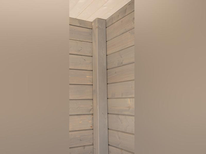 Wolff Finnhaus Pultdachhaus Studio 44-D naturbelassen