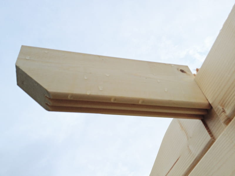 Wolff Finnhaus Pulti 34-B Typ 3 mit SD A und Vollglas-Tür naturbelassen