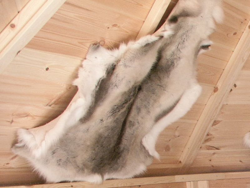 Wolff Finnhaus Rentierfell für Kota