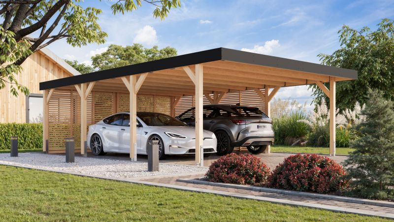 Carport Aktion