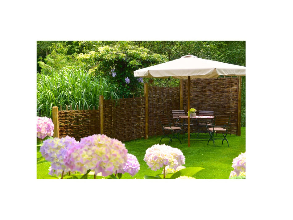 36191_2.BMP