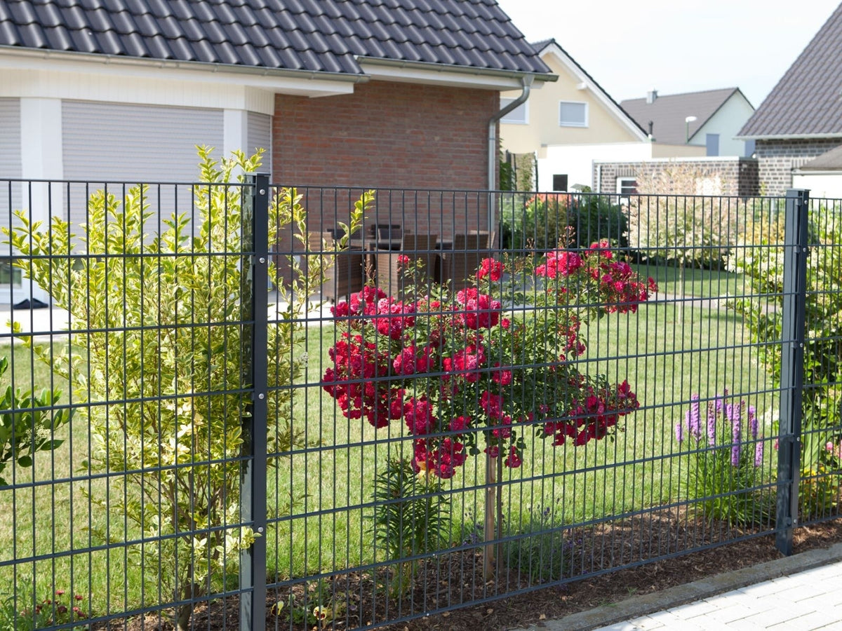 DVVAP6S010010B7016_2.JPEG