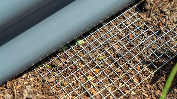 Vitavia Gewächshaus-SET Palma 3250 ESG/HKP schwarz, inkl. Hochbeet Linus IN-OUT, inkl. Mäusegitter für Hochbeete und Metallsieb-Set