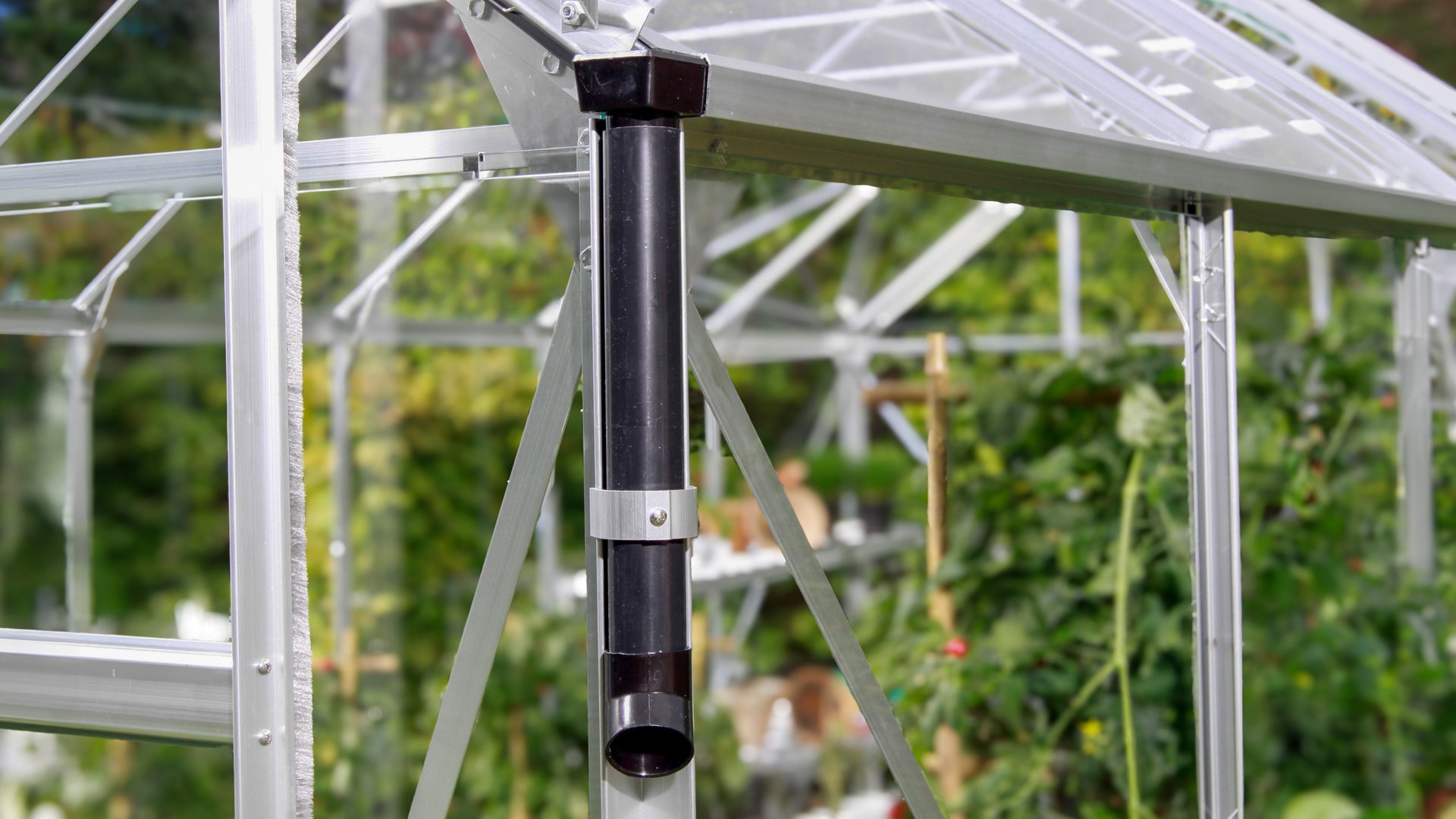 Vitavia Gewächshaus Venus 3800 HKP 6mm Schwarz, im SET, inkl. Fundament, Fensterheber, Regenfallrohr-Set, Aluregal und Alutisch