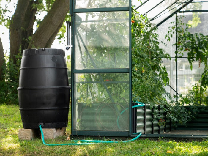 Vitavia Regentonne und Fallrohr Set