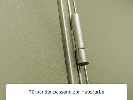 Ecostar Gerätehaus Elegant-P,Typ 2, Schilfgrün, 1 flg
