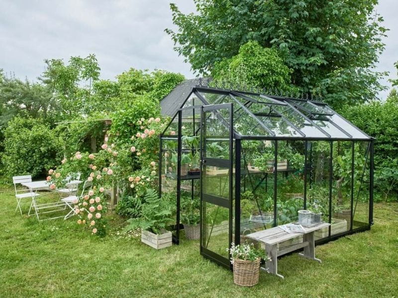 Halls Gewächshaus Cotswold Burford 610 schwarz mit Sicherheitsglas