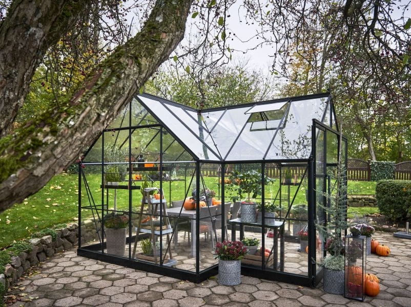 Halls Gewächshaus Garden Room Schwarz Sicherheitsglas - SPARSET inkl. Fundament