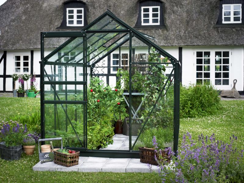 Halls Gewächshaus Popular 106 Grün Sicherheitsglas