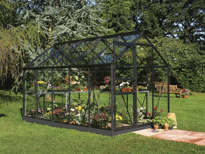 Halls Gewächshaus Popular 106 Schwarz Blankglas - SPARSET inkl. Fundament
